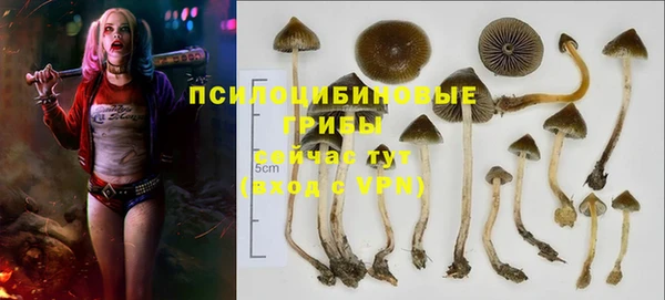 синтетический гашиш Ладушкин