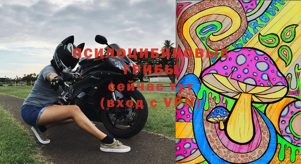 твердый Алапаевск