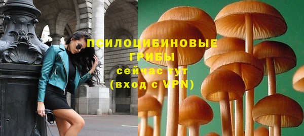 синтетический гашиш Ладушкин