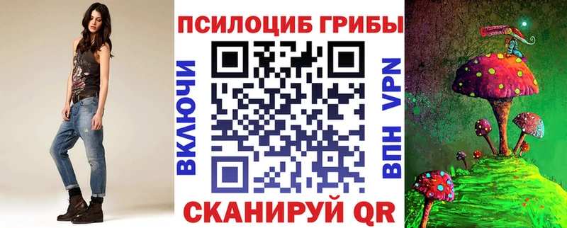 Купить где  Котельниково  Галлюциногенные грибы Psilocybine cubensis 
