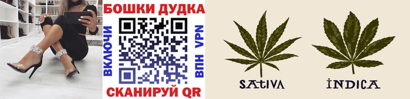 Бошки Шишки планчик  Купить  Котельниково 